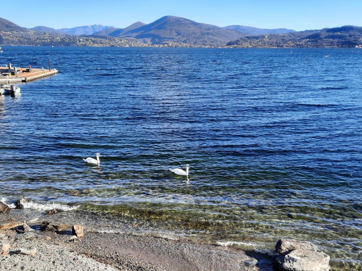 200 Passi Leilighet Cannero Riviera Eksteriør bilde